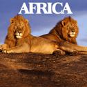 Africa专辑