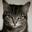 Shawn_Lightman