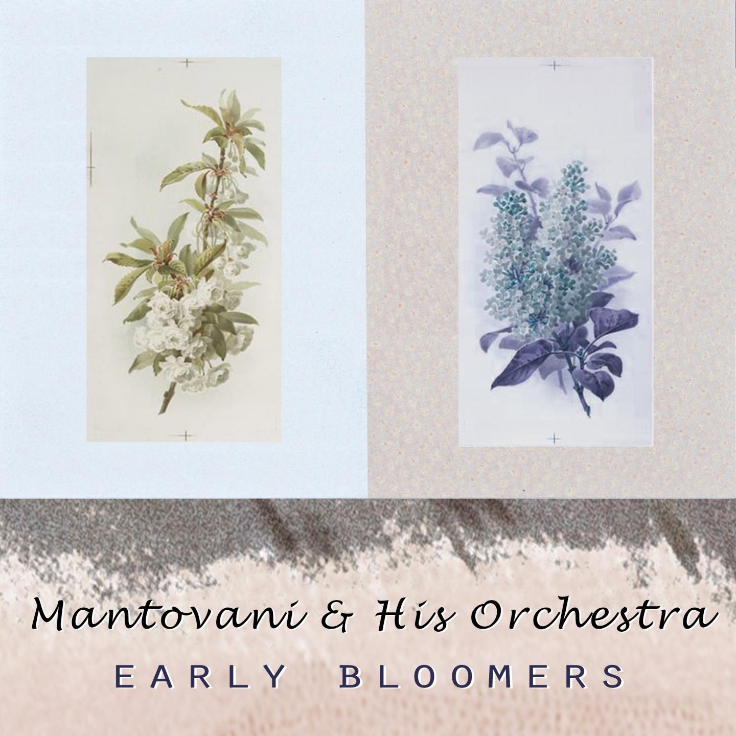 Early Bloomers专辑