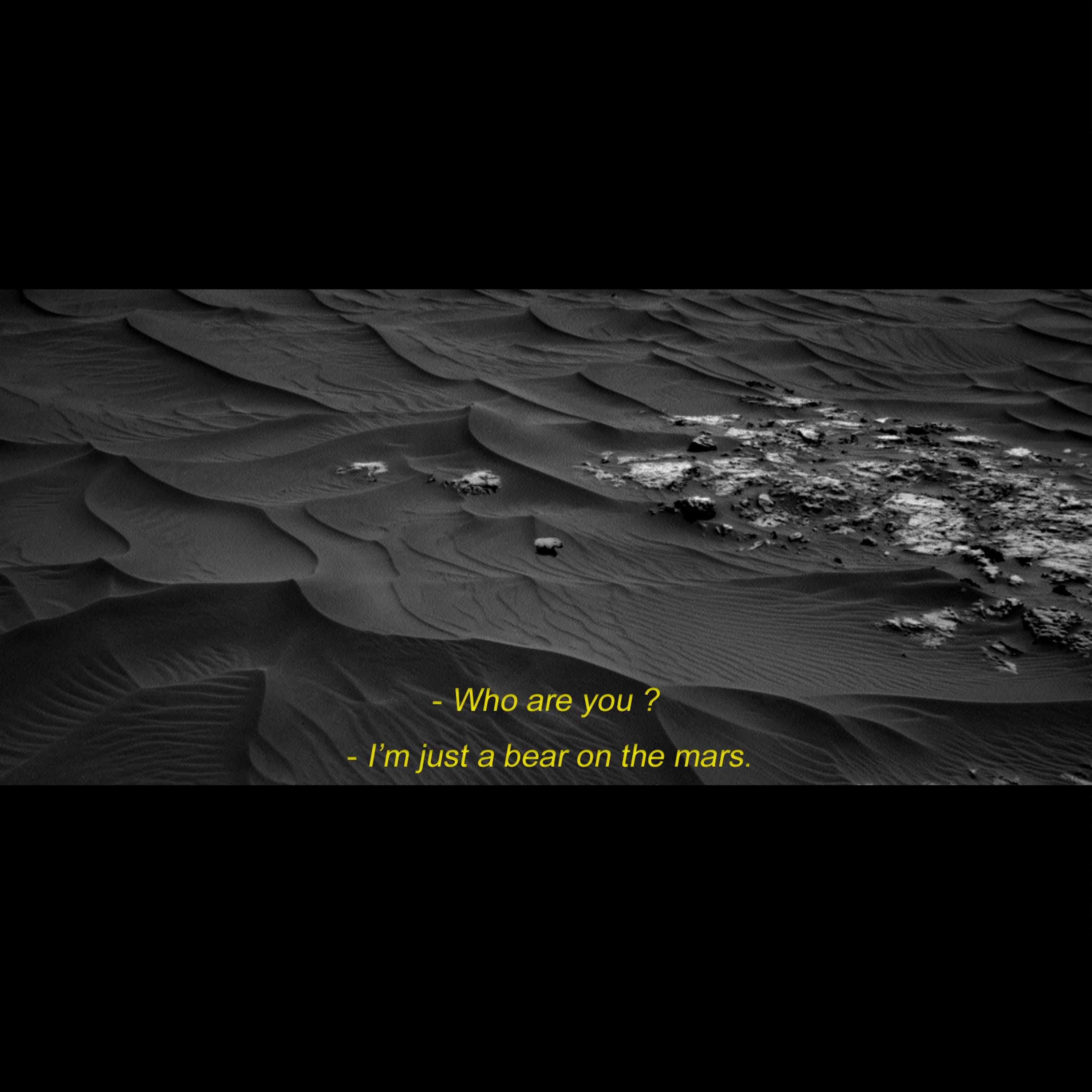 너라는 이름의 우주에서