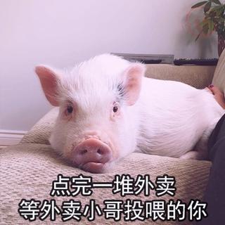 　  美̶团̶ 外̶賣̶ 专̶区̶