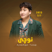 Noqi