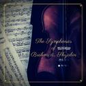 The Symphonies of Brahms & Skrjabin专辑