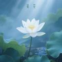 荷花专辑