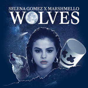 Selena Gomez - Wolves (Instrumental) 原版无和声伴奏