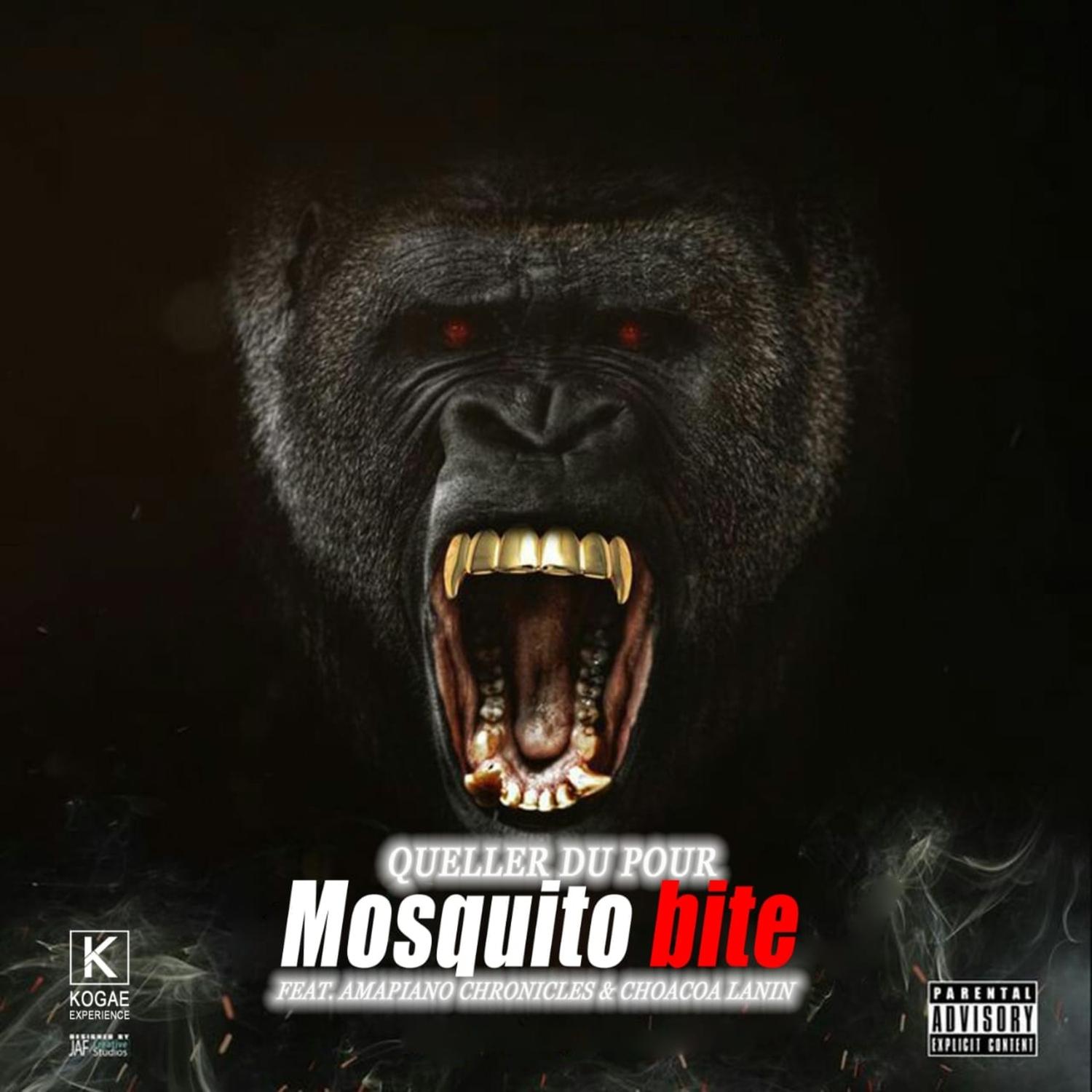 Queller Du Pour - Mosquito Bite (feat. Amapiano Chronicles & Choacoa Lanin)