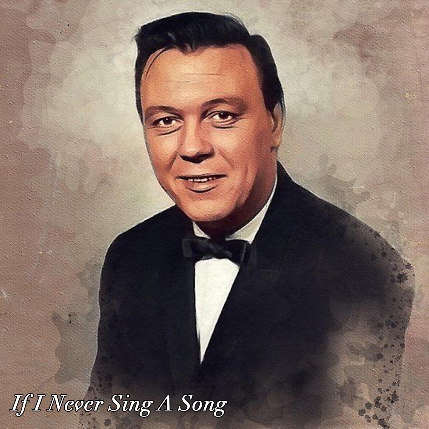 If I Never Sing A Song
