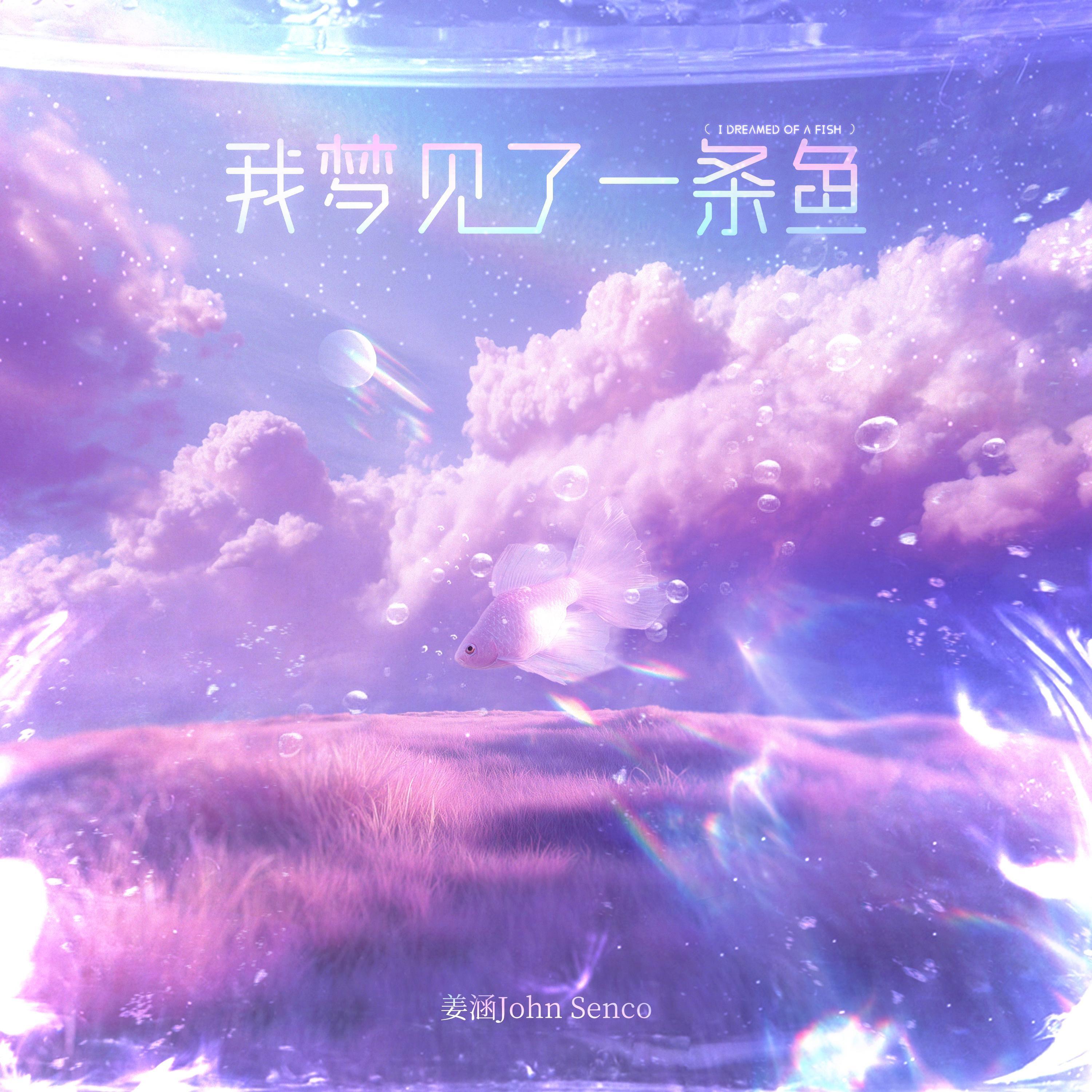 我，梦见了一条鱼