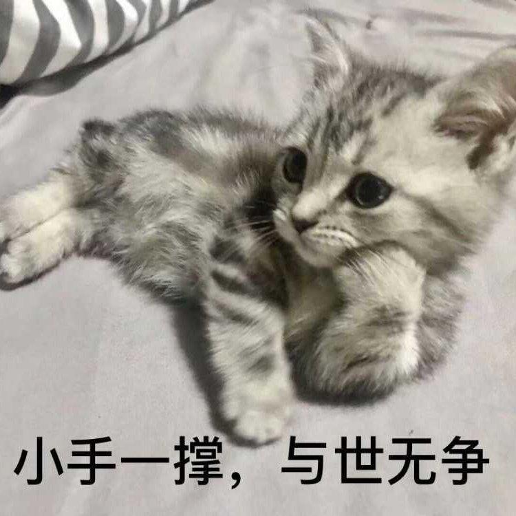 粤语，听不懂的国语