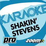 Zoom Karaoke - Shakin' Stevens专辑