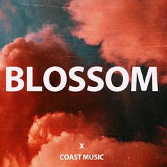 Piano Pop Type Beat "BLOSSOM"