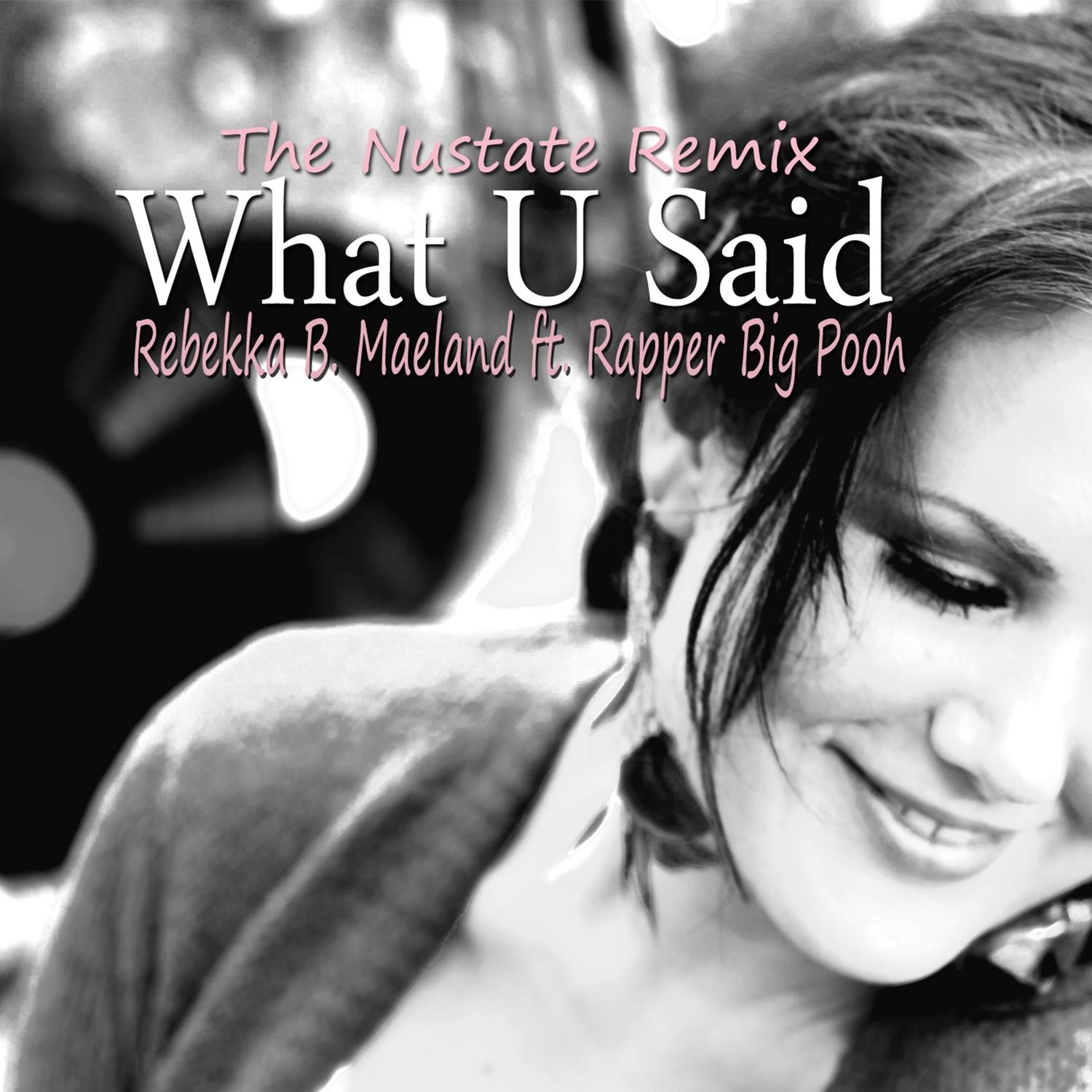 What U Said (feat. Rapper Big Pooh) [The Nustate Remix]