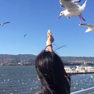 明明歌是入耳，为何眼酸。