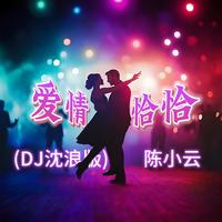 陈小云 - 爱情恰恰(DJ沈浪版)