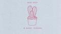 In Bloom: Versions专辑