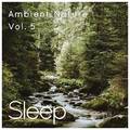 Sleep to Ambient Nature Sounds, Vol. 5