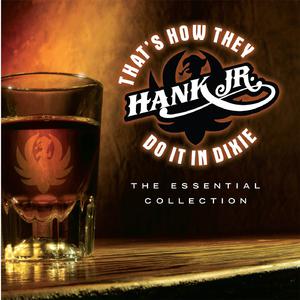 That's How They Do It In Dixie - Hank Williams, Jr. (PH karaoke) 带和声伴奏 （降4半音）