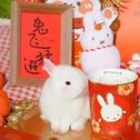 岁末将至，新年和好运踏歌而来