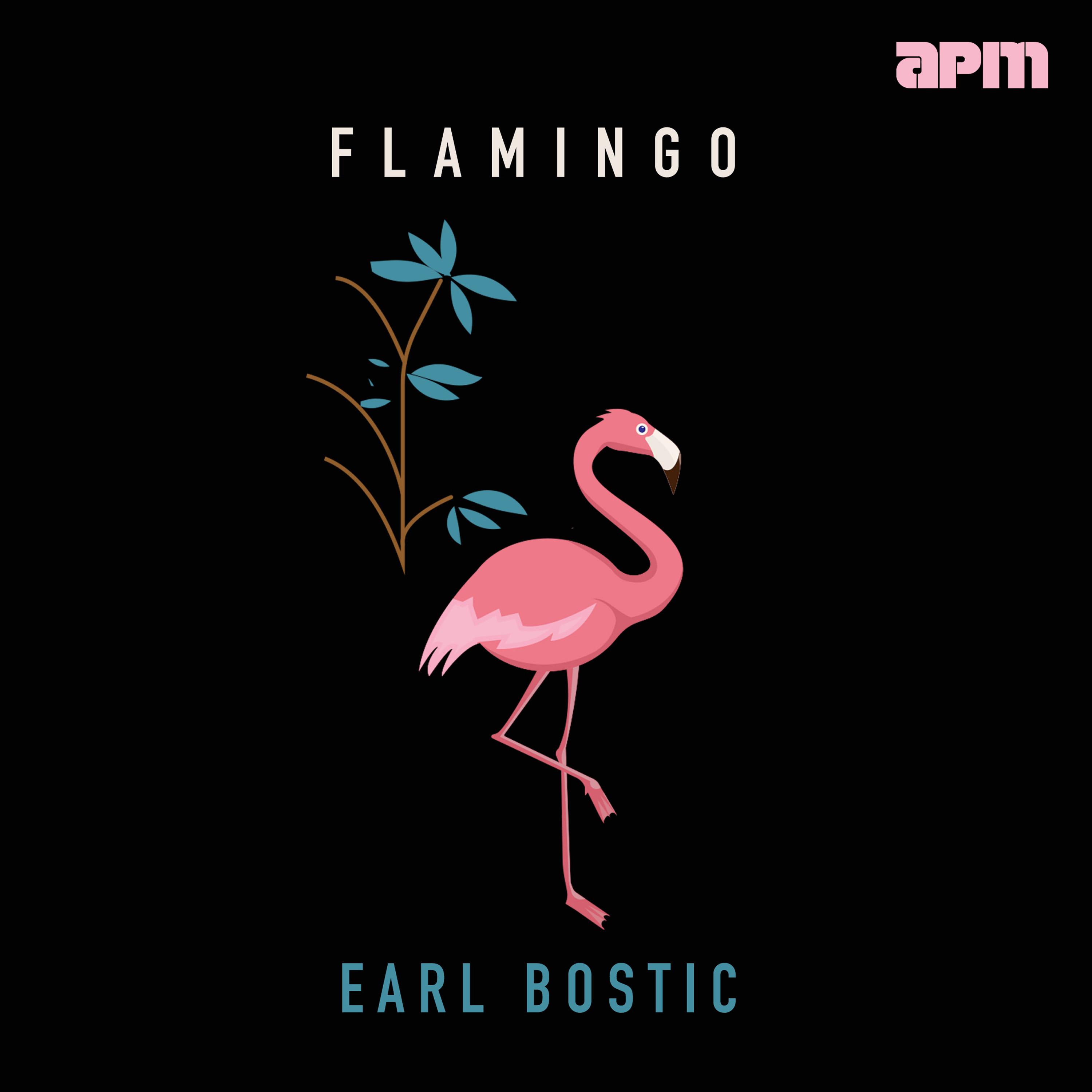 Flamingo