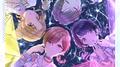 THE IDOLM@STER SHINY COLORS "CANVAS" 06