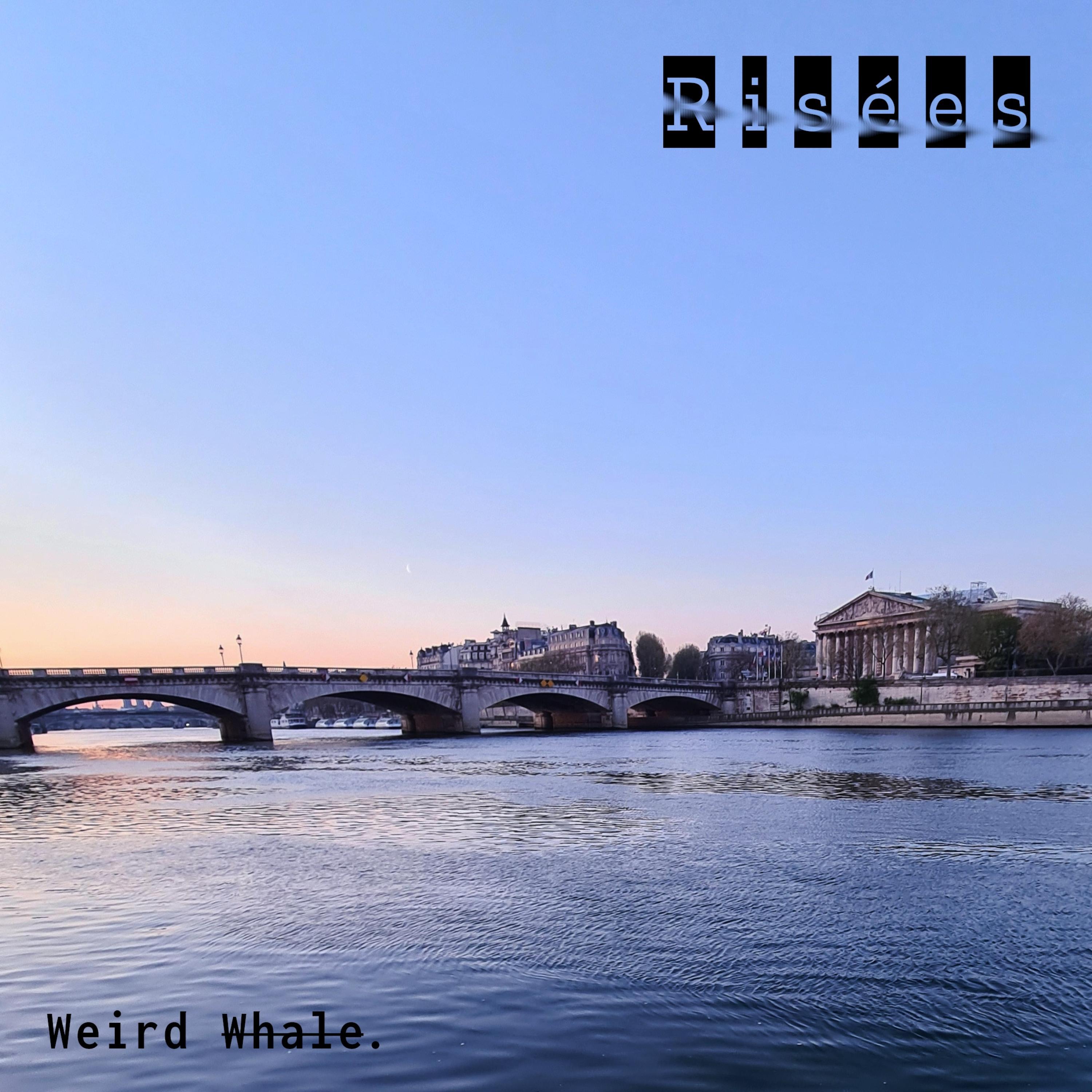 Risées