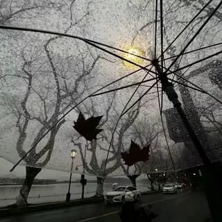 忧郁雨季｜ 小众灵魂 情绪 阴雨连绵