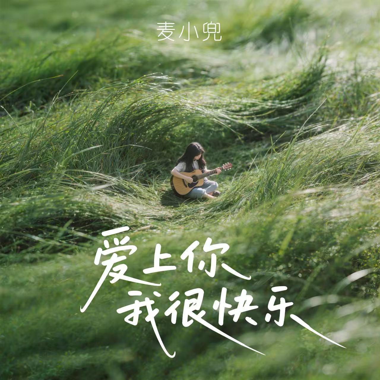 爱上你我很快乐