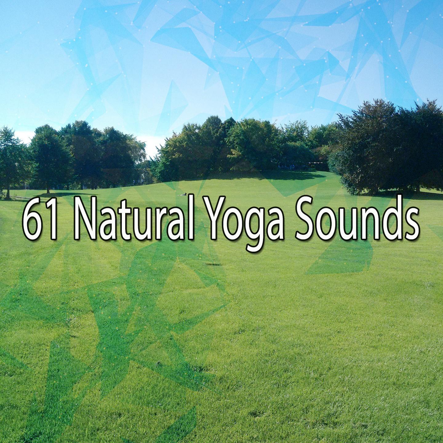 61 Natural Yoga Sounds专辑