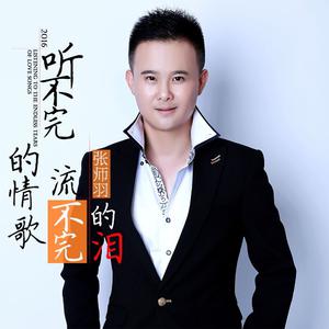 张师羽 - 听不完的情歌流不完的泪(原版立体声伴奏) （降8半音）