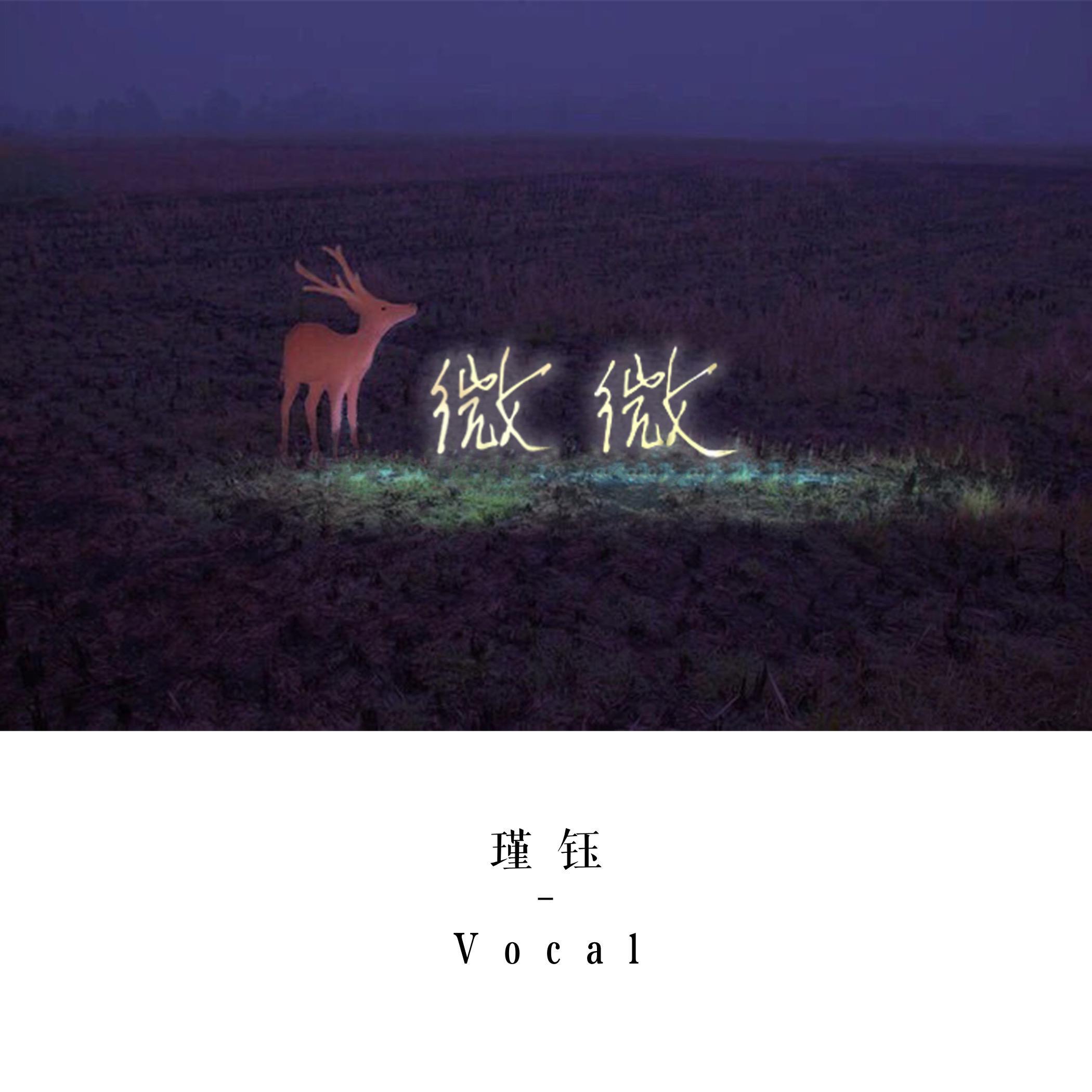 微微（治愈男声版）