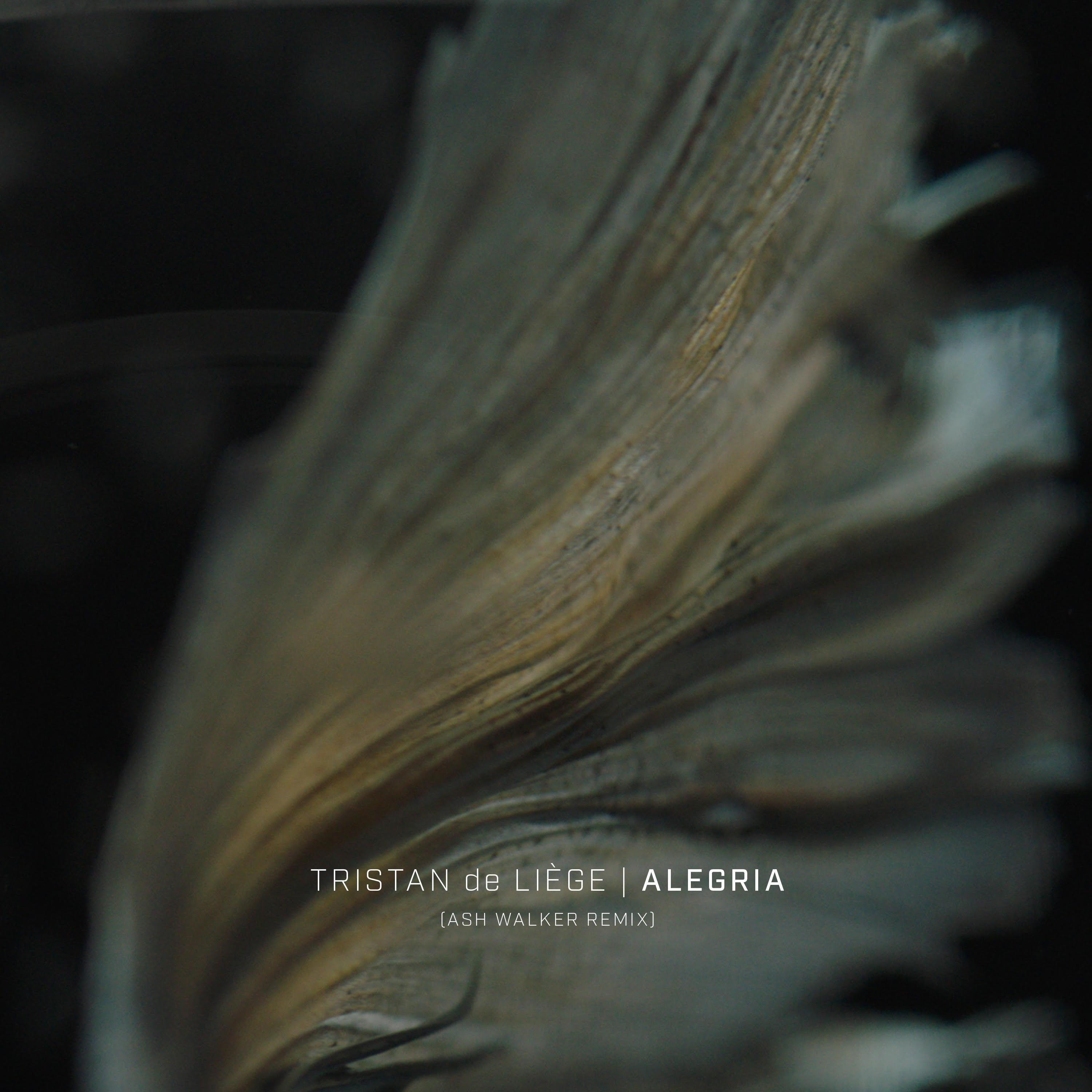 Alegria (Ash Walker Remix)