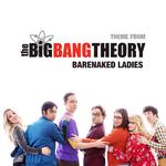 Theme From The Big Bang Theory专辑