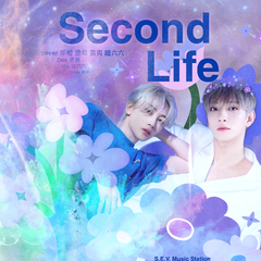 Second Life（第二人生）