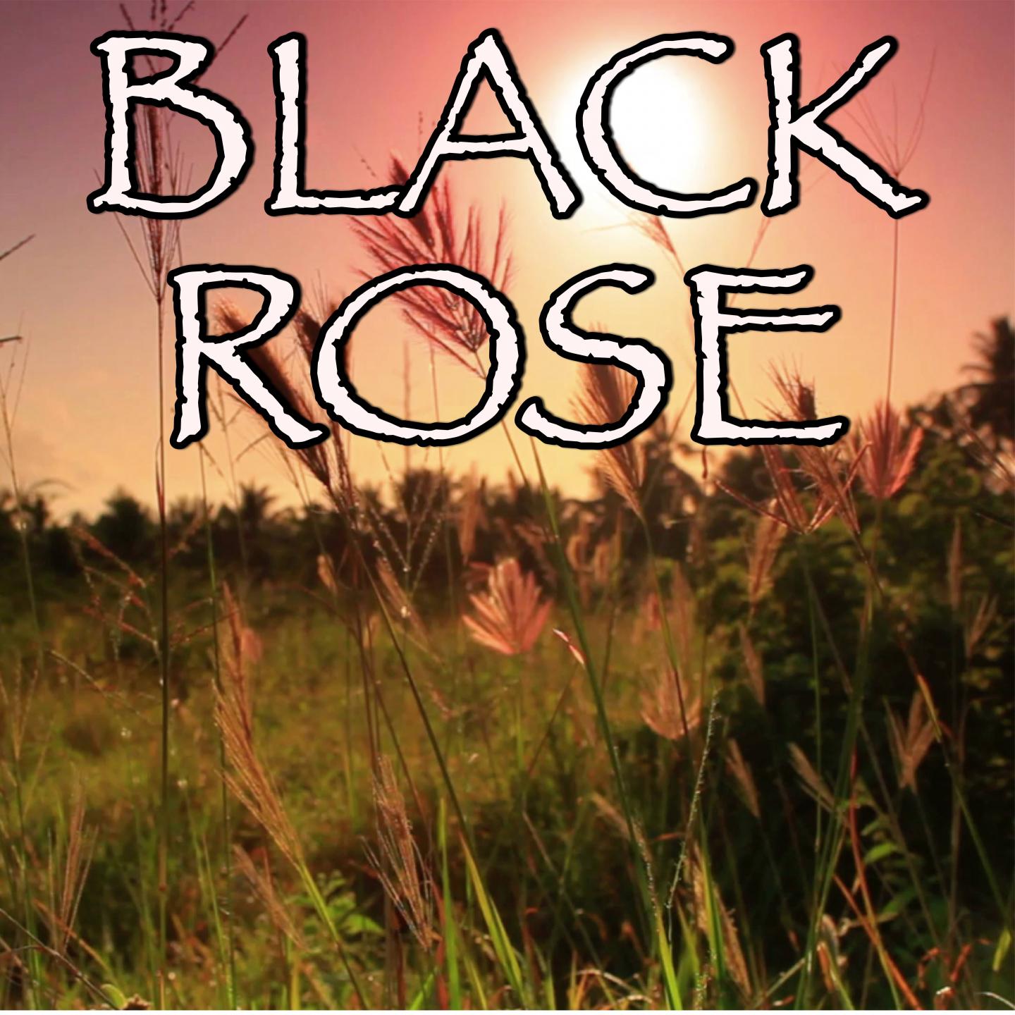 Black Rose - Tribute to Volbeat and Danko Jones专辑