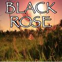 Black Rose - Tribute to Volbeat and Danko Jones专辑