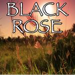 Black Rose - Tribute to Volbeat and Danko Jones专辑