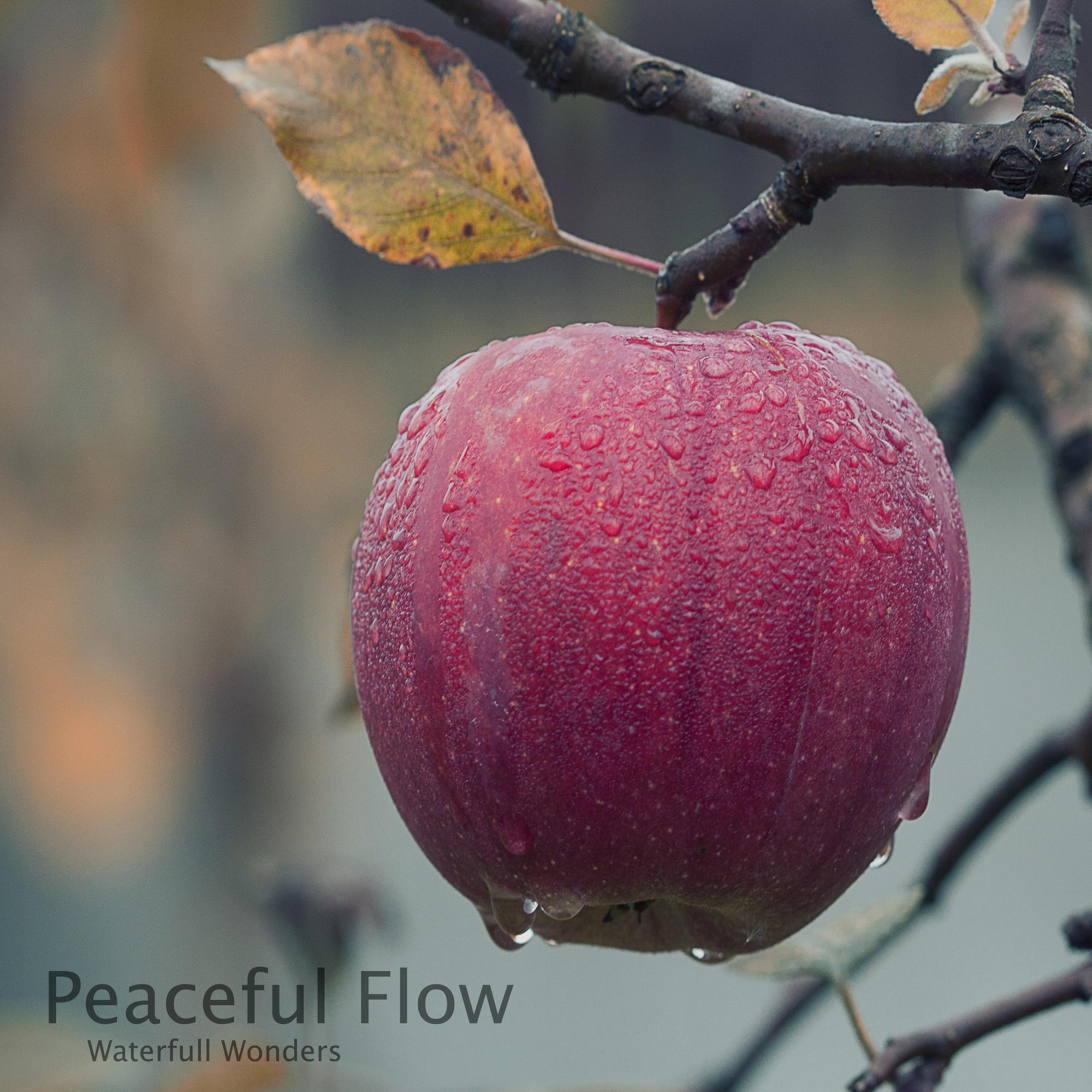 Peaceful Flow