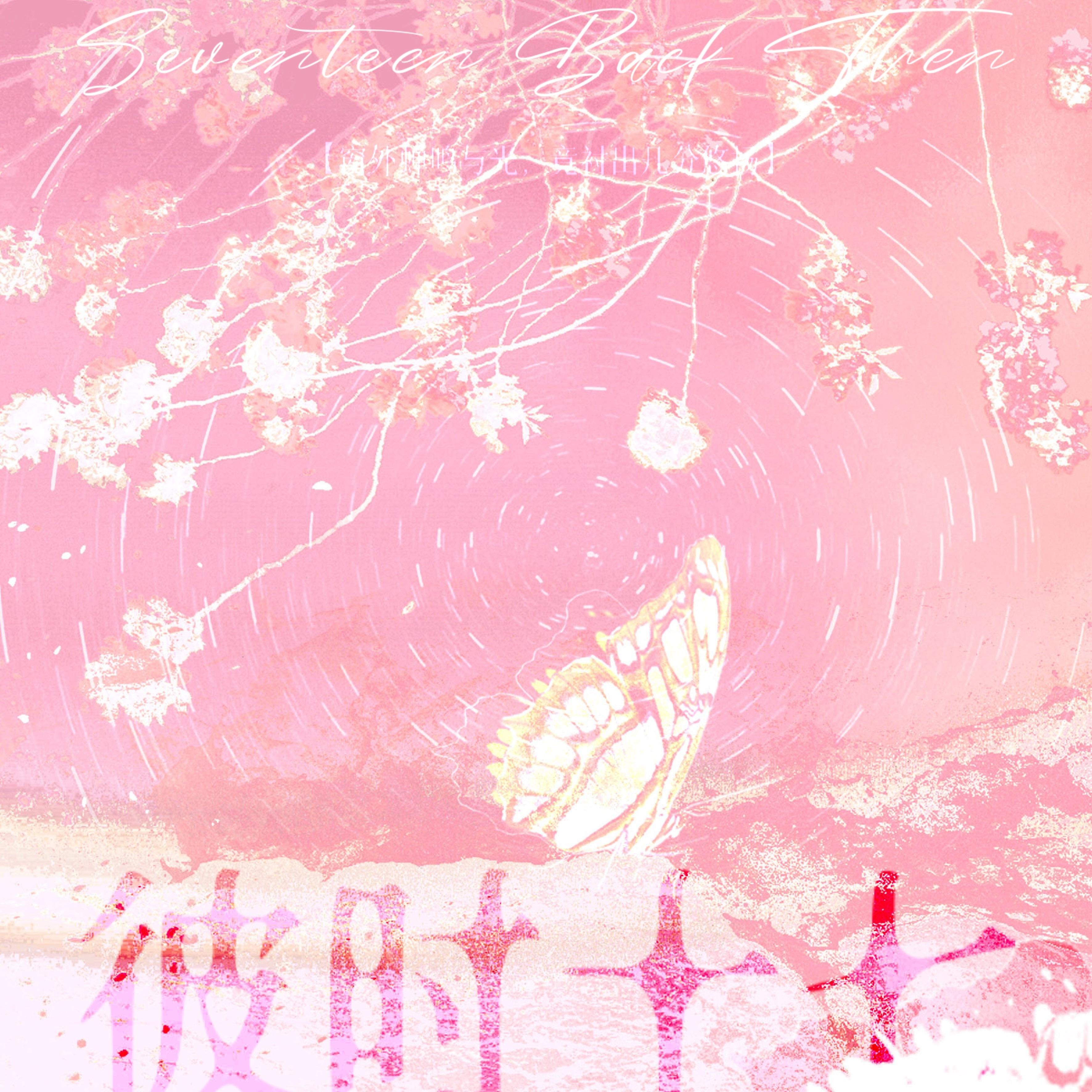 彼时十七（《某某》夏日回忆曲）