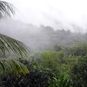 El Yunque