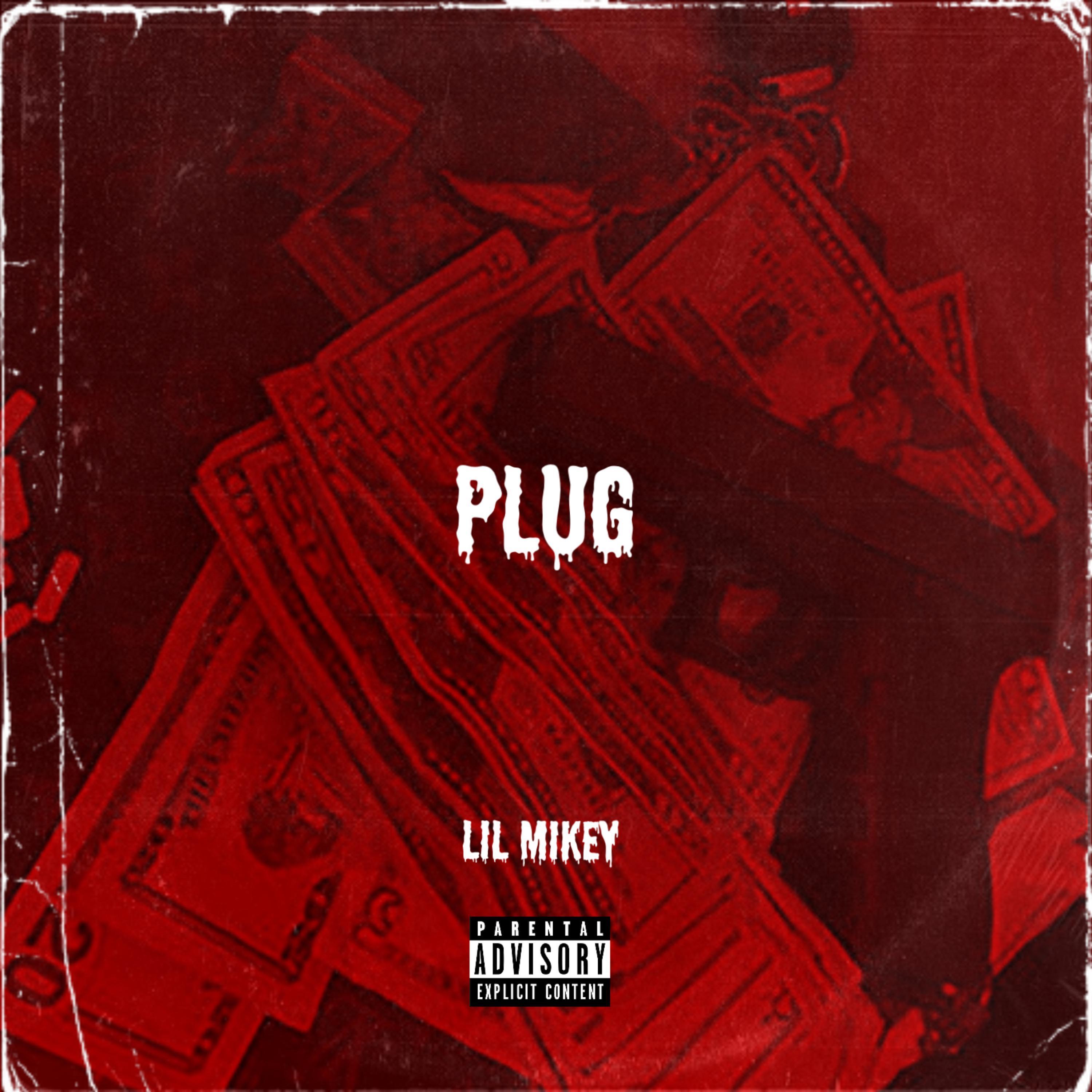 Plug