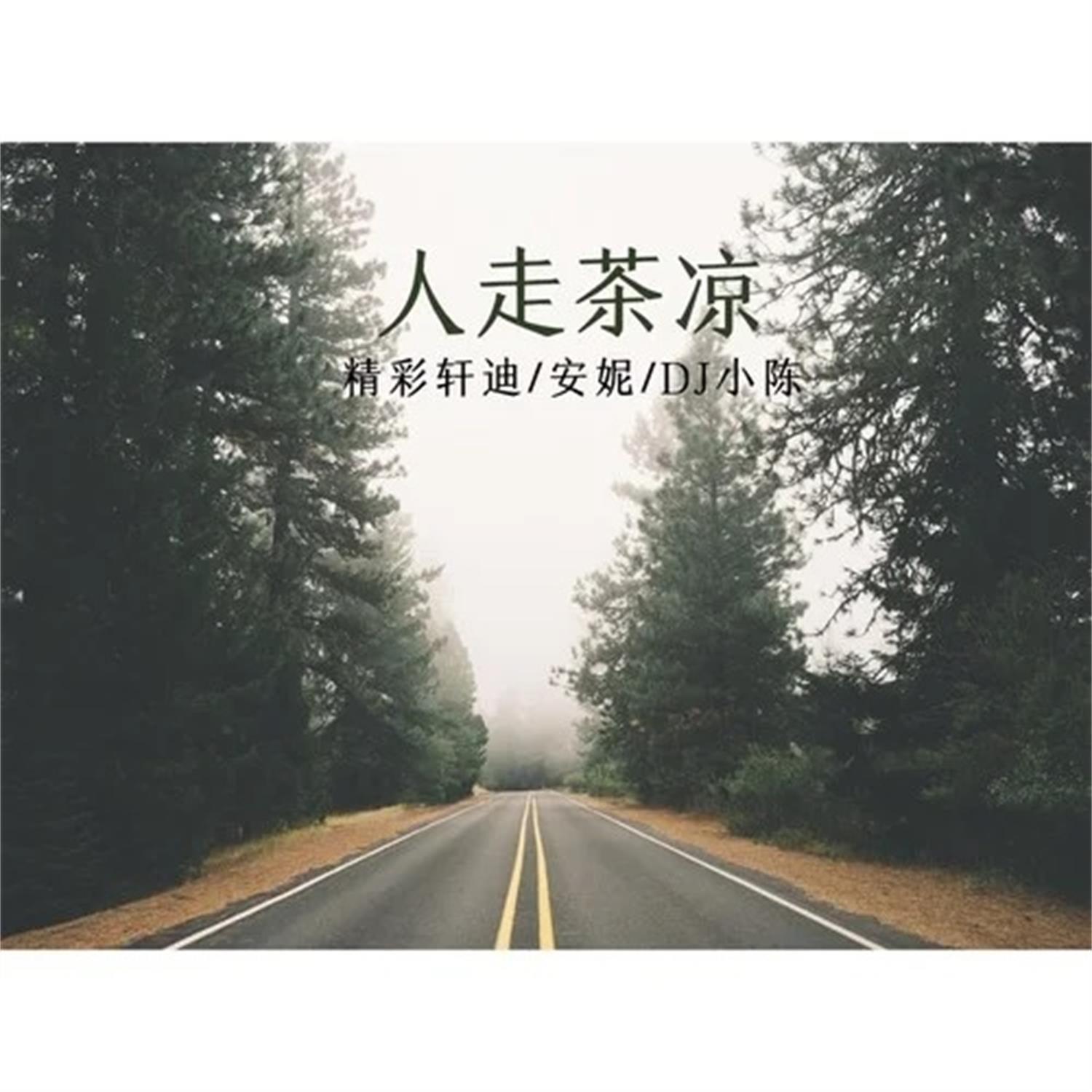 人走茶凉