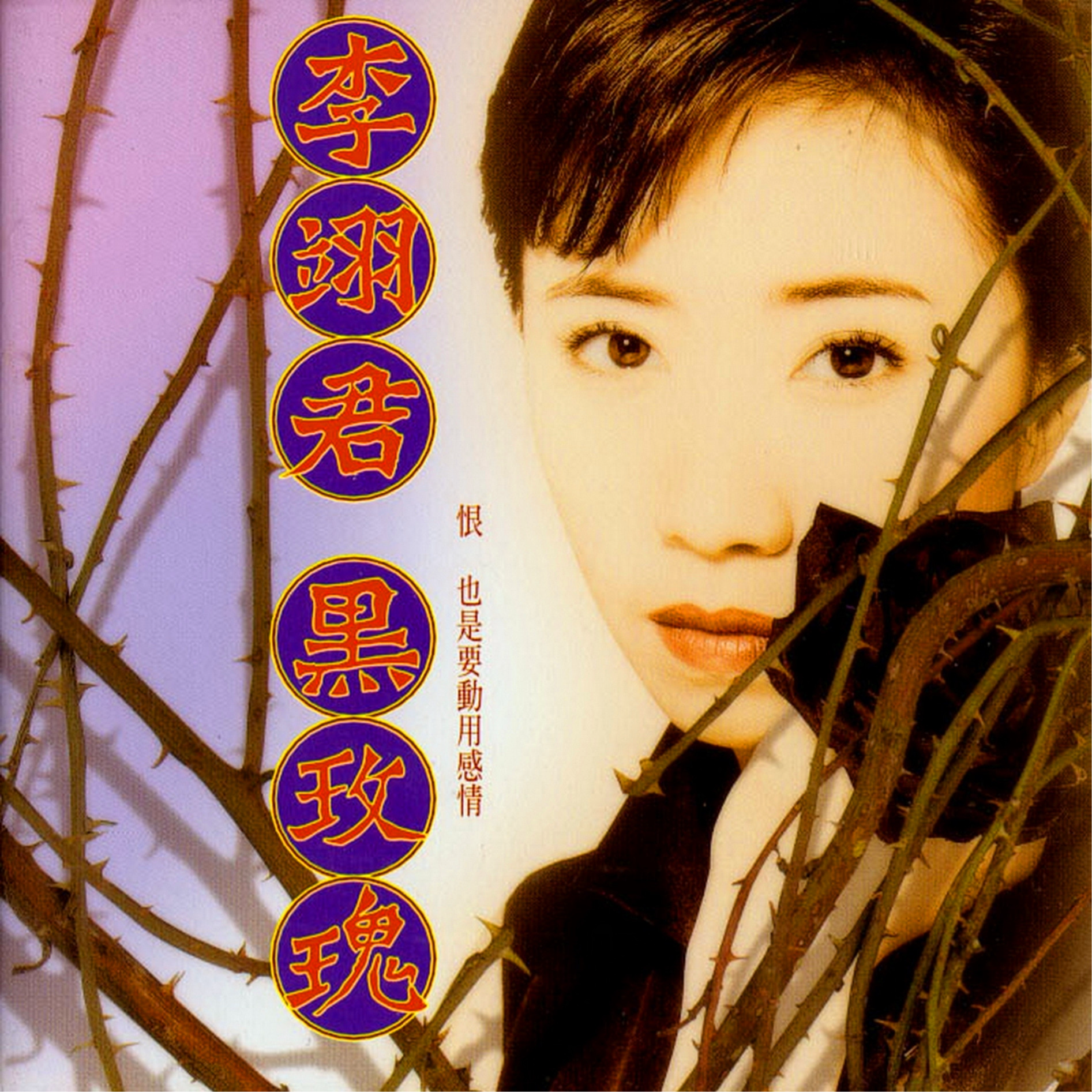 黑玫瑰