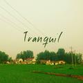 Tranquil