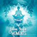 Calm Yoga Moments专辑