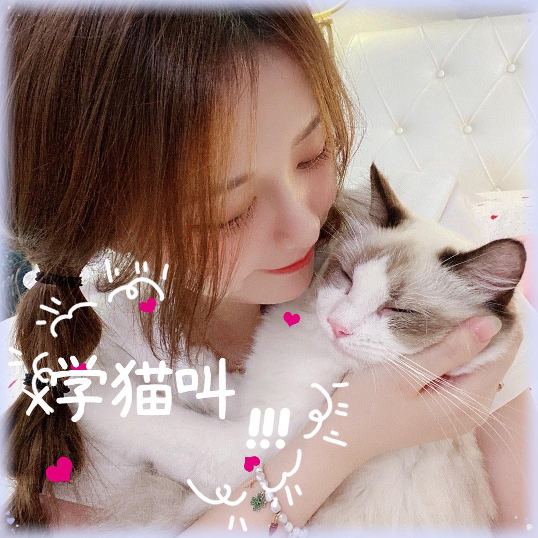 学猫叫