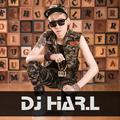 DJ HAR.L Edit 2017