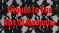 Tribute To The Hits Of Madonna专辑