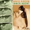 David Gibson - The Court