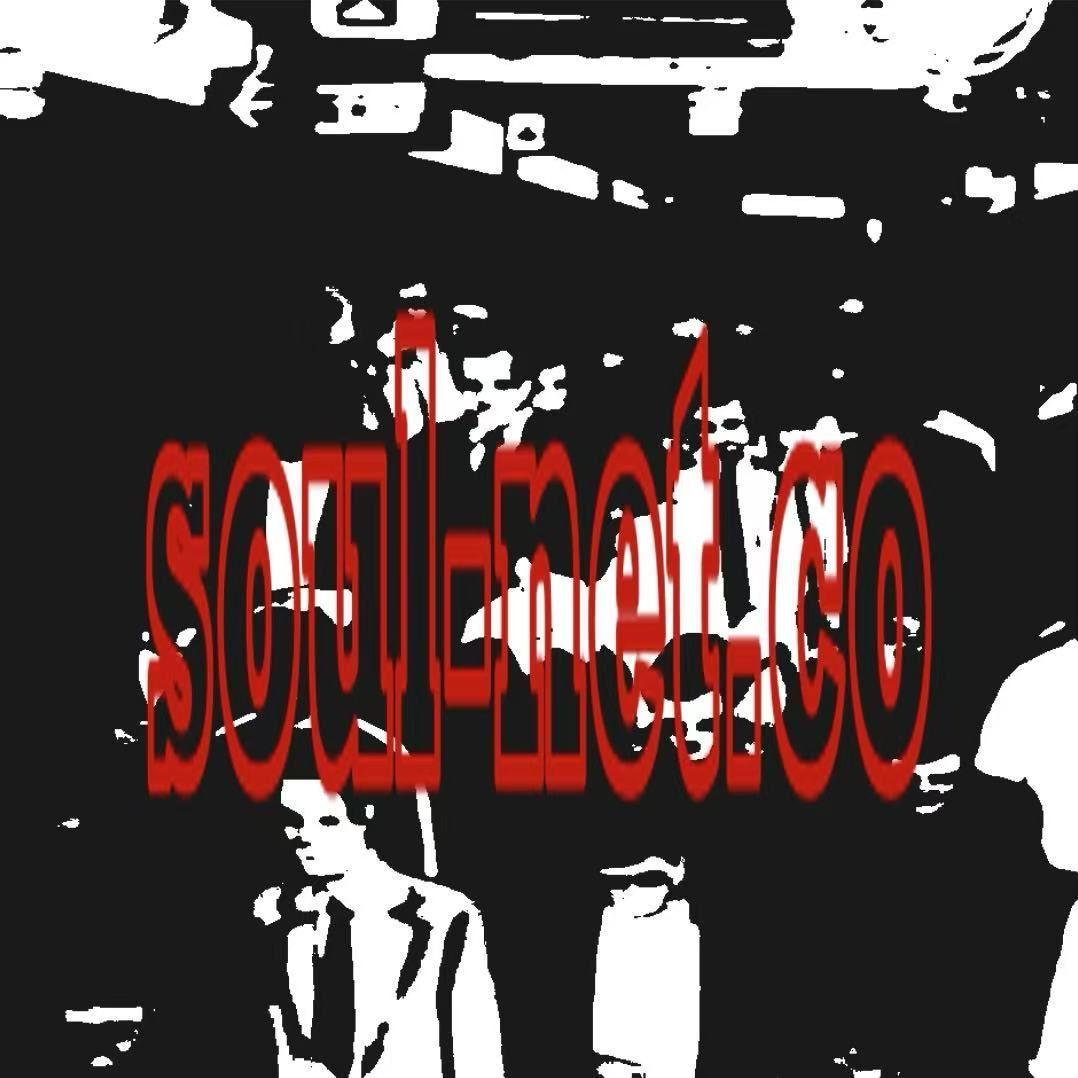 soul-net.co