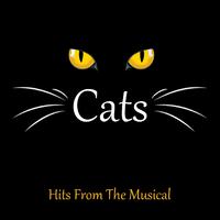 Skimbleshanks The Railway Cat - From the Musical Cats (PT Instrumental) 无和声伴奏